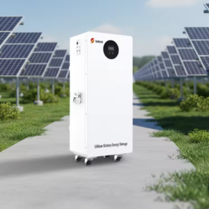 WALL MOUNT LIFEPO4 16.07KWH BATTERY (51.2V/314AH)